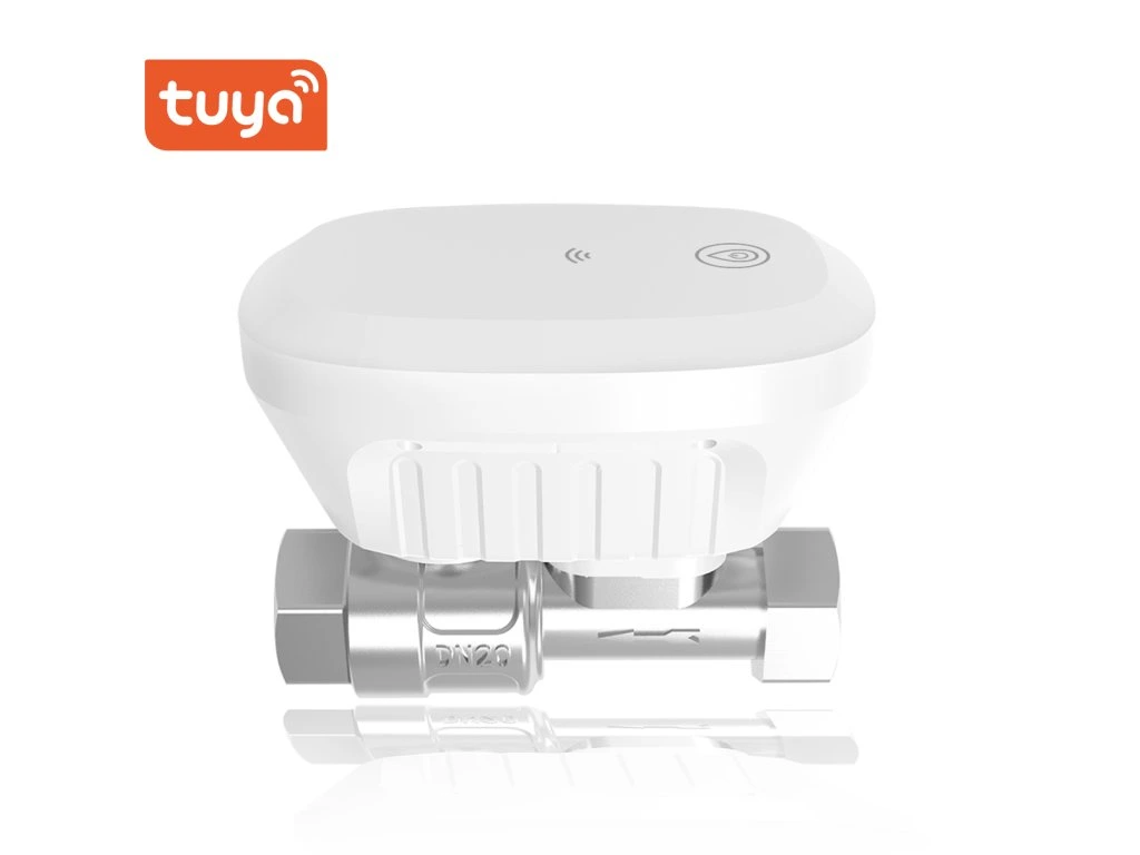 Intelligente WiFi-Wasserventil Tuya WV1